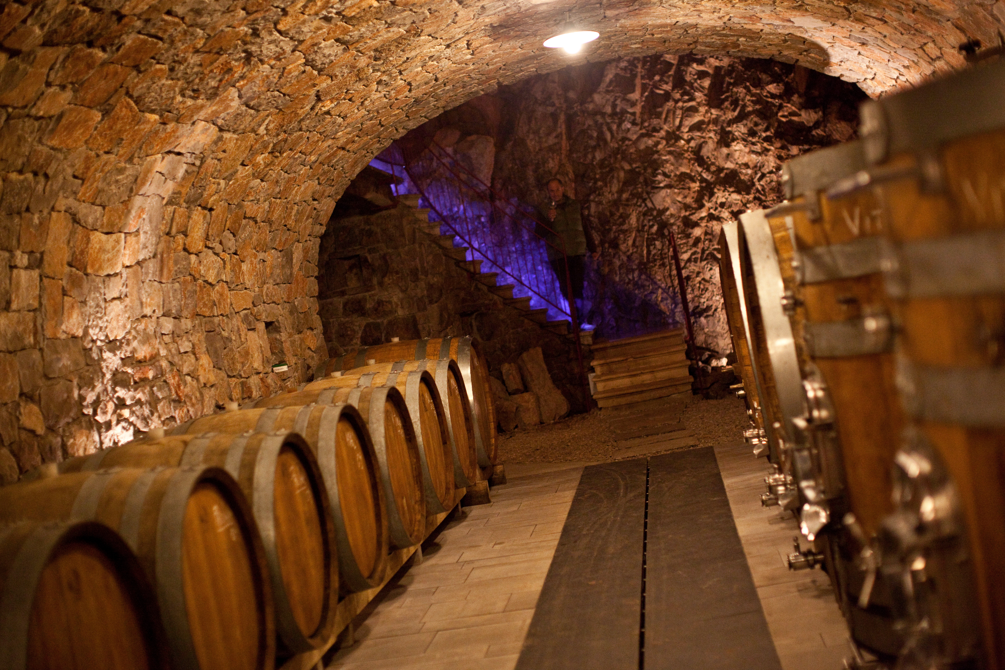 Cantina_[Alessandro_Castiglioni].jpg